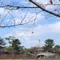あらたちゃん