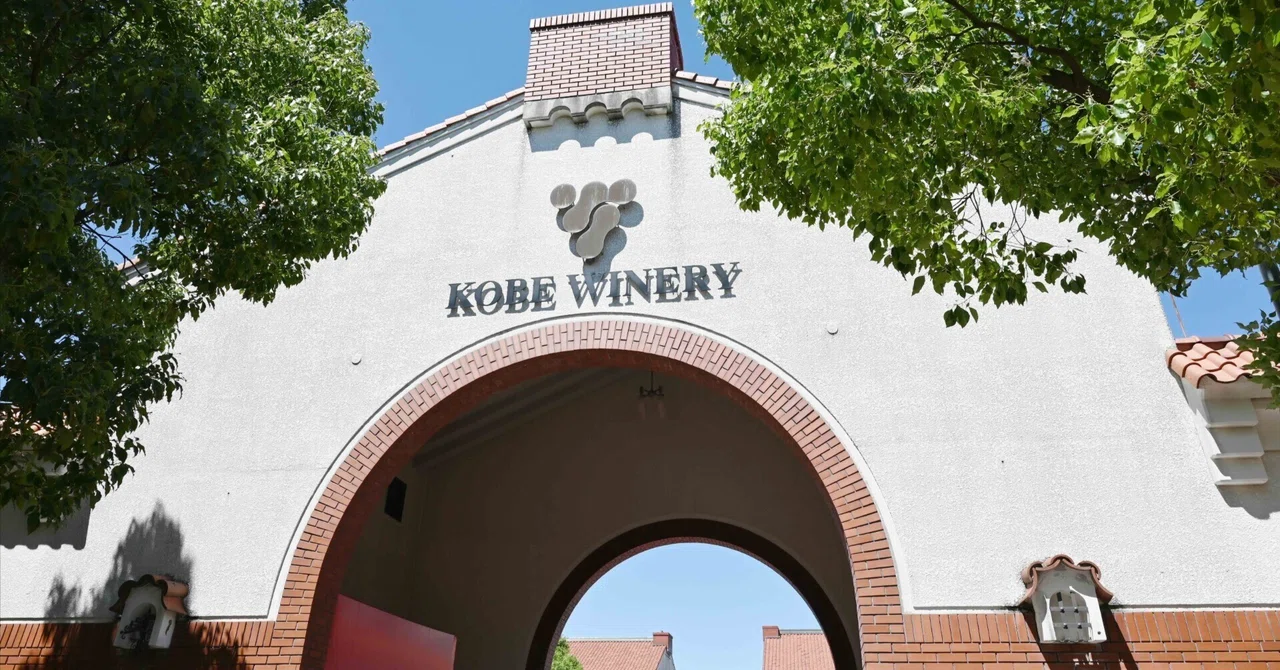 Wool Wine Project Interview [2] Kobe Winery Edition｜PIZZA DAY OFFICIAL