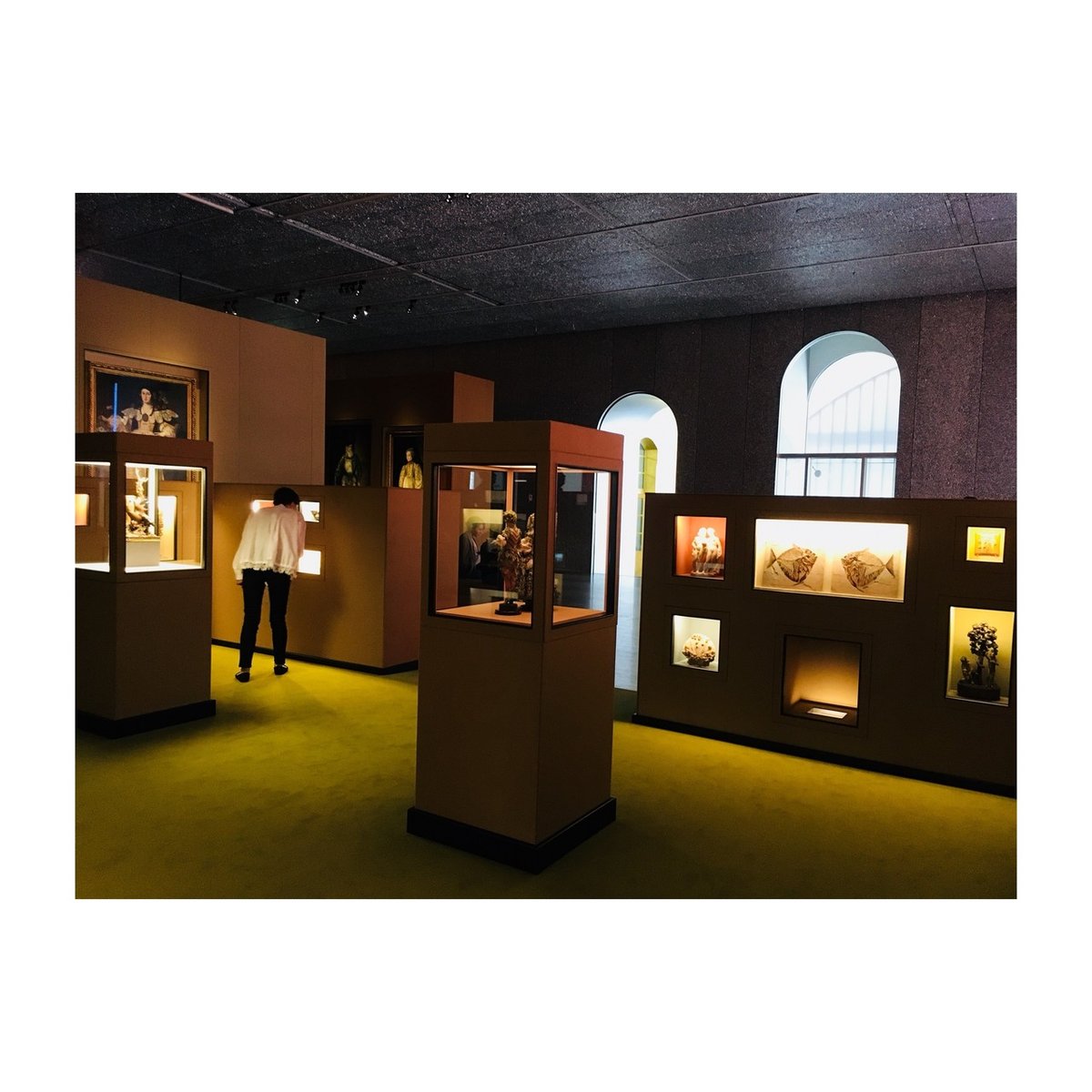 Wes Anderson ウェス　アンダーソン Spitzmaus Mummy Vienna: Spitzmaus Mummy in a Coffin | superfuture®