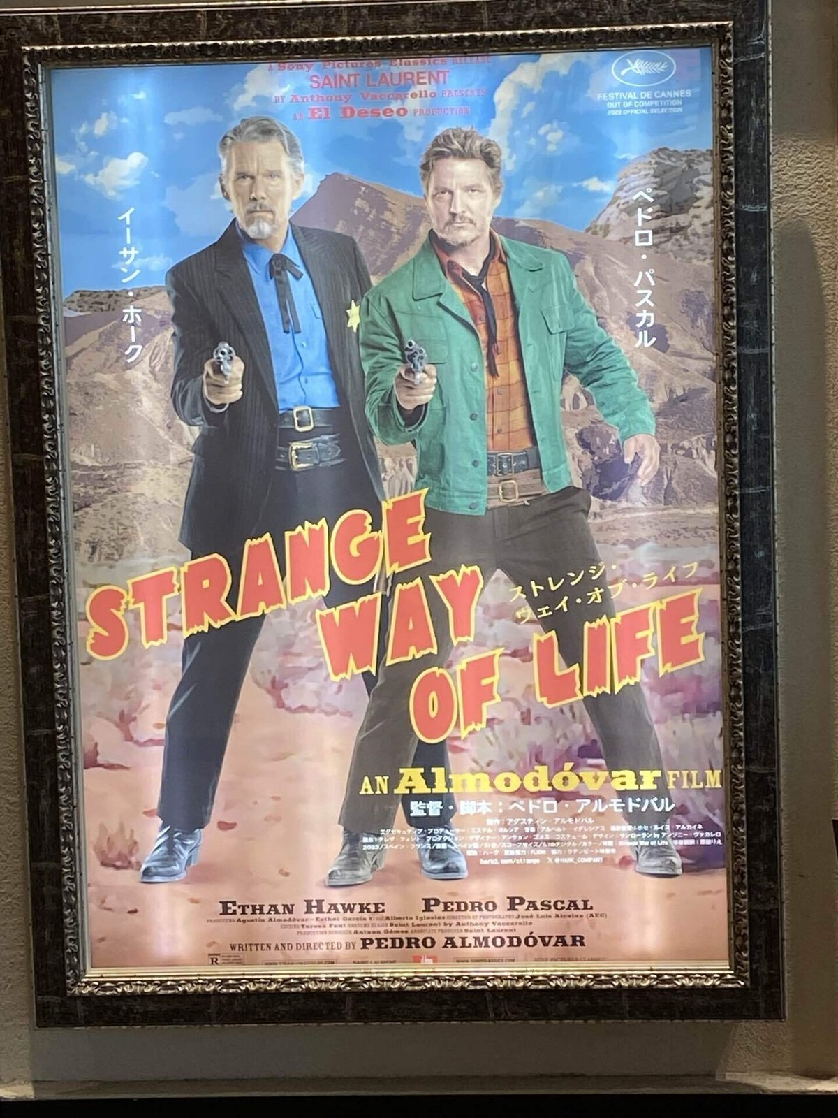 ストレンジ・ウェイ・オブ・ライフ|takaoharada