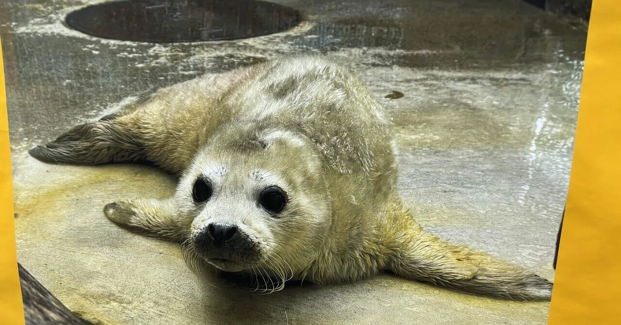 東武動物公園｜村田めぐみ