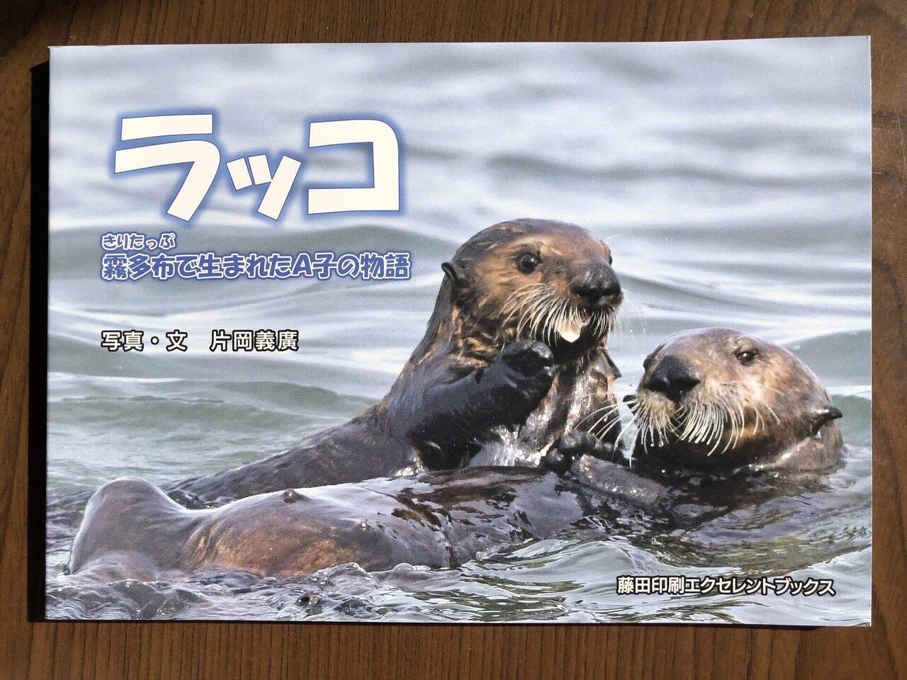 ラッコメモリアルBOOK Amazon.co.jp: 鳥羽水族館ラッコ飼育40周年記念 ラッコ