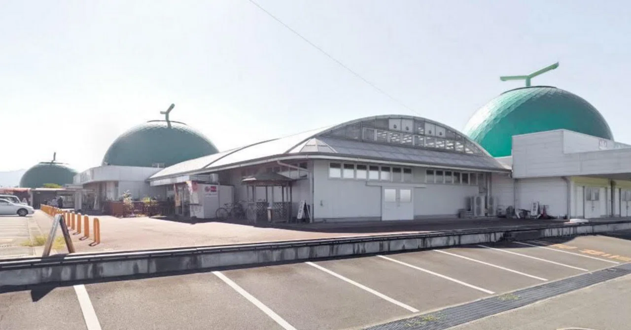 Uncover the Secrets of the Three 'Giant Melons'! (Reporter Itsuki