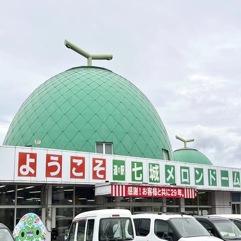 Uncover the Secrets of the Three 'Giant Melons'! (Reporter Itsuki