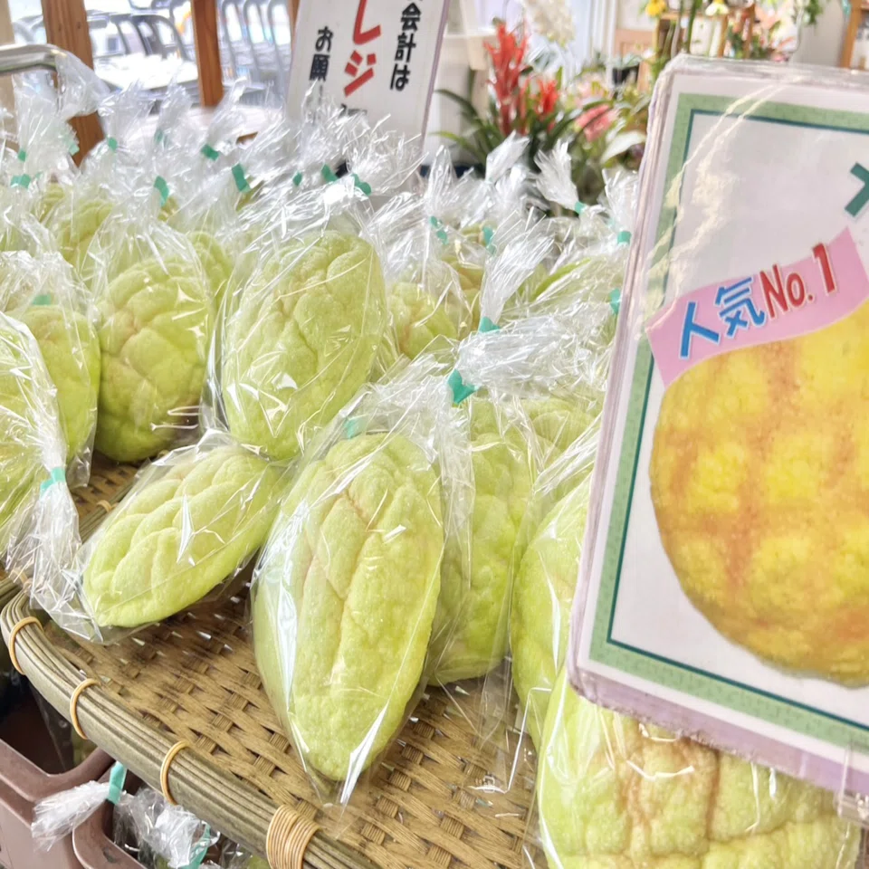 Uncover the Secrets of the Three 'Giant Melons'! (Reporter Itsuki