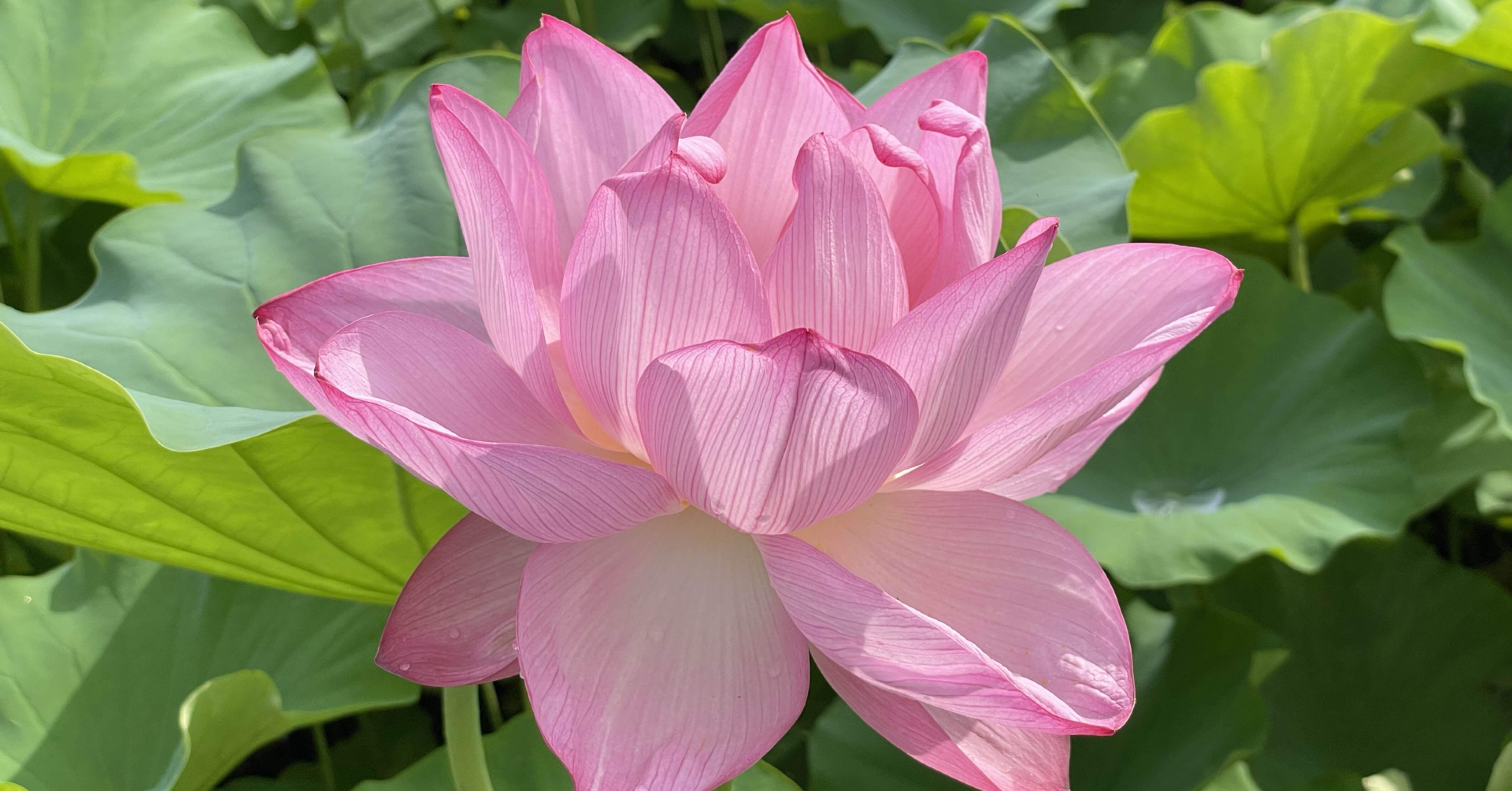 b935897e60c79c5267330f19613f29