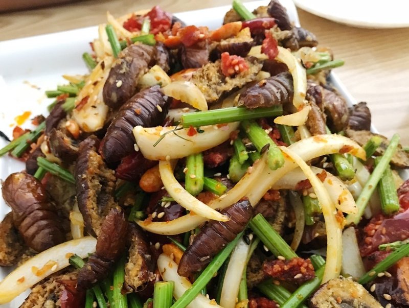 国が広けりゃ食も広い 中国ゲテモノ編 Cani Note