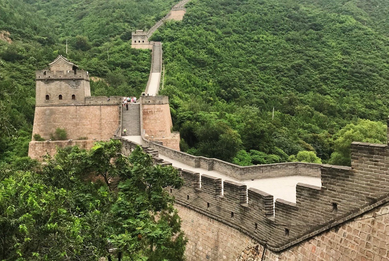 国が広けりゃ食も広い 中国ゲテモノ編 Cani Note