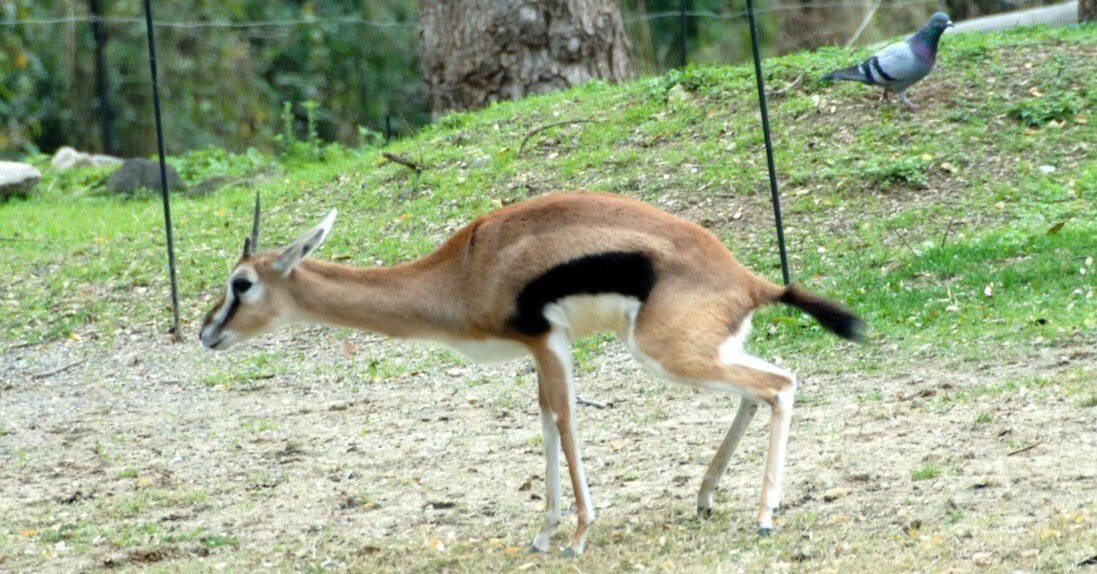 52ecd15f3921b56ee17f6b9ff4f097