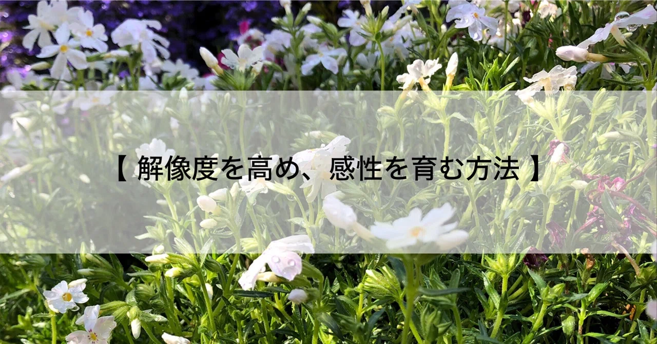 見出し画像