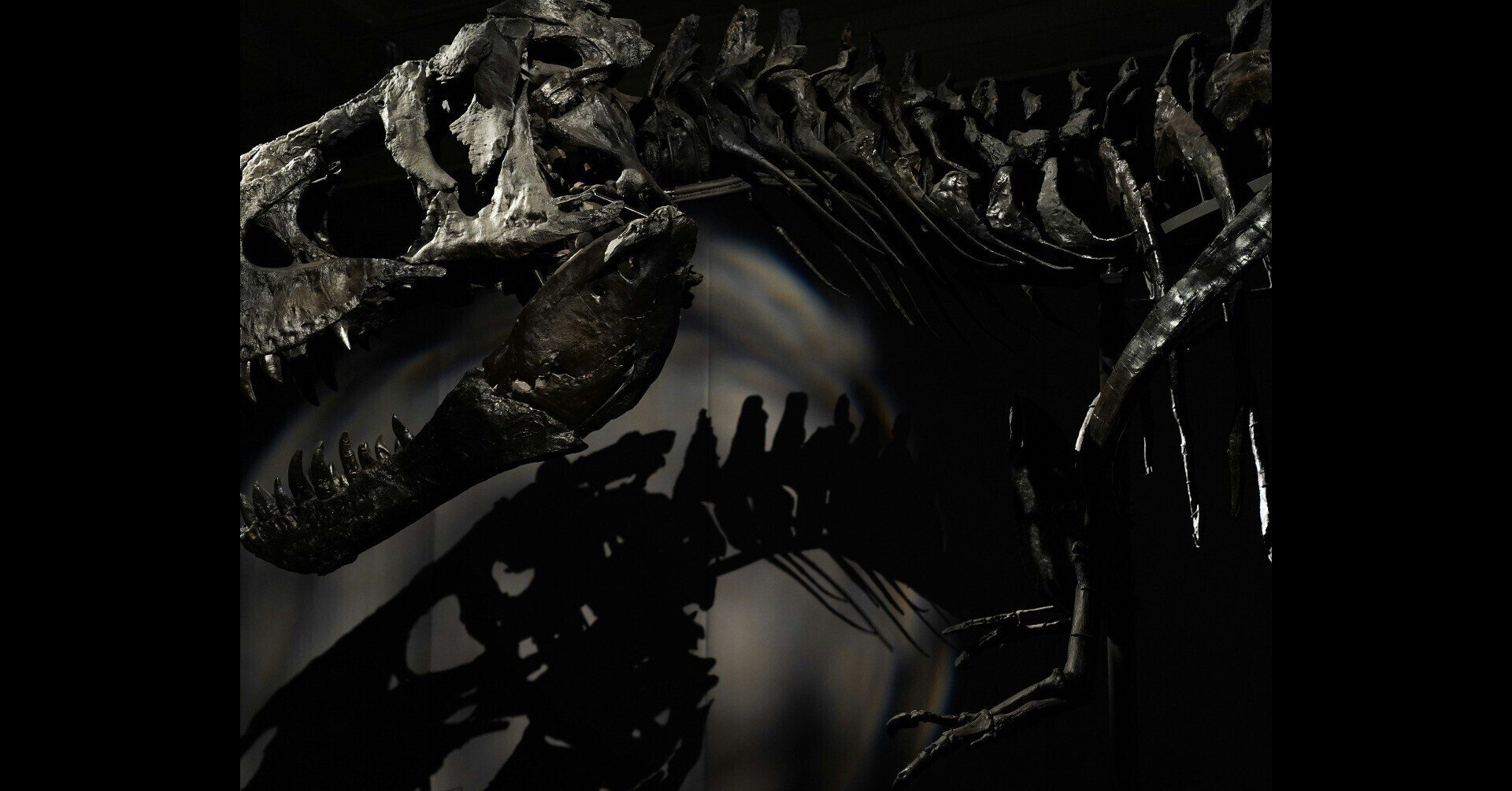 studio.okazaki｜note