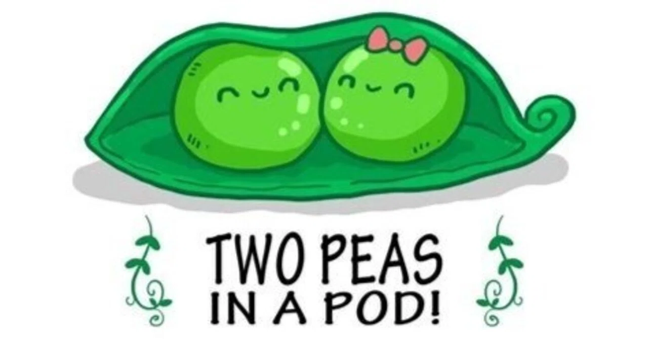 peaとbeanはどう違うの？｜Ryujiro