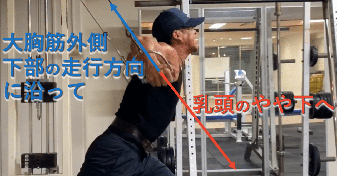 大 胸 筋 下部 筋 トレ 大胸筋下部のトレーニング方法4選 輪郭をはっきりさせてカッコいい胸を手に入れよう Amp Petmd Com 大 胸 筋 下部 筋 トレ 大胸筋下部のトレーニング方法4選 輪郭をはっきりさせてカッコいい胸を手に入れよう Amp Petmd Com