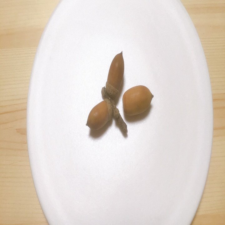 食べれるドングリが届いたぞ٩ ᐛ و エフゲニーマエダ 平成林業 Note