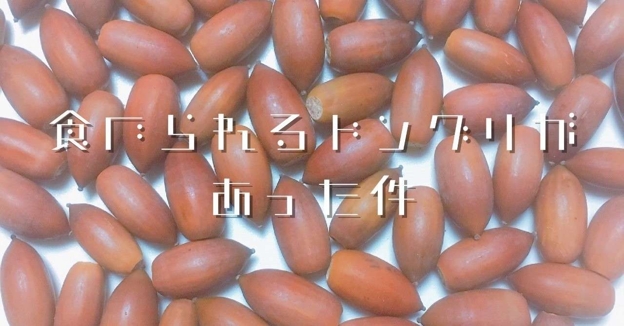 ドングリ_Fotor