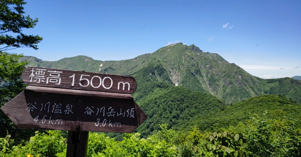 水上と特急谷川岳山開き号の旅｜へーてつ