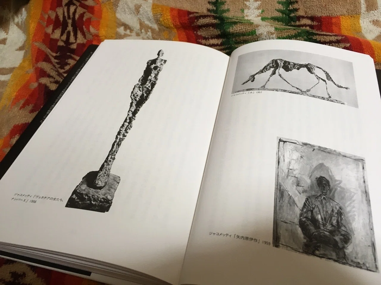 ジャコメッティ 本 ジャコメッティ作品集 海外版 彫刻・絵画・オブジェ