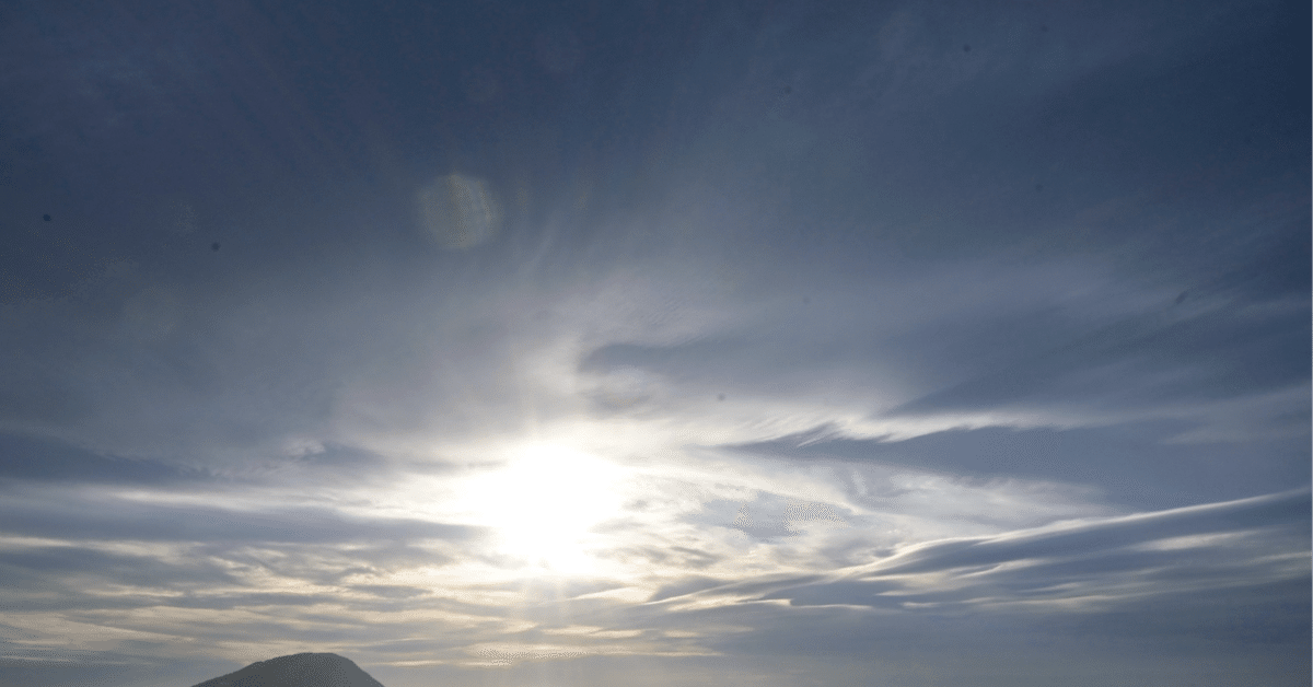 仕事ができる人は、なぜ「この話し方」をするのか? Amazon.co.jp: 仕事ができる人は、なぜ「この話し方」をするのか