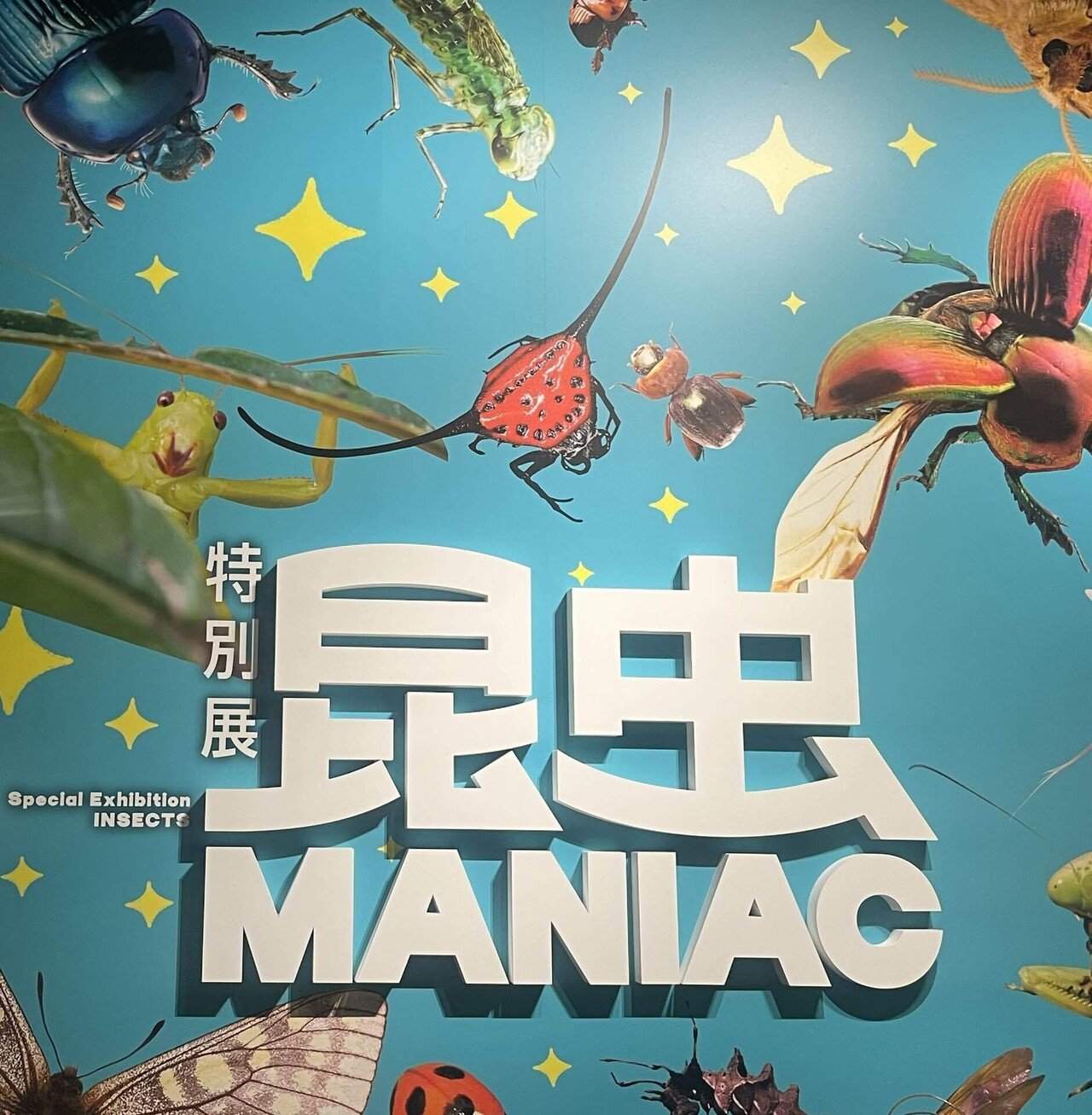 昆虫 MANIAC あおり 蝉の抜け殻 アゲハ幼虫 リバーシブル