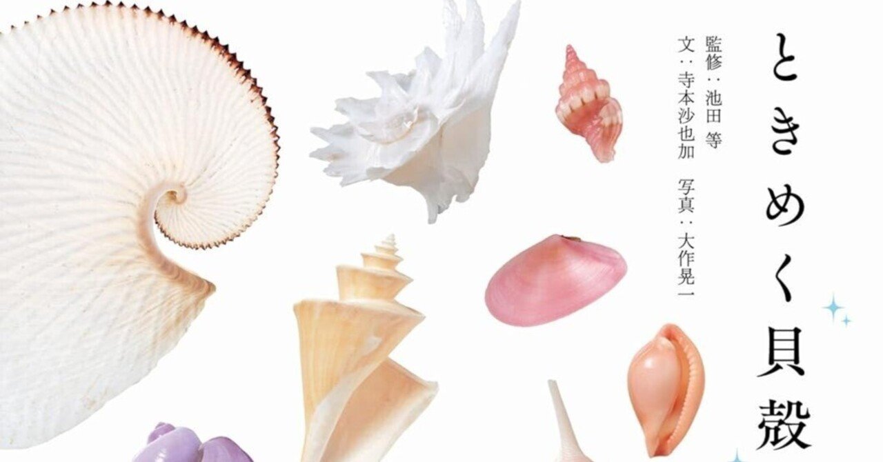 美しすぎて、呪われそう！『ときめく貝殻図鑑』最近、「波の音」と
