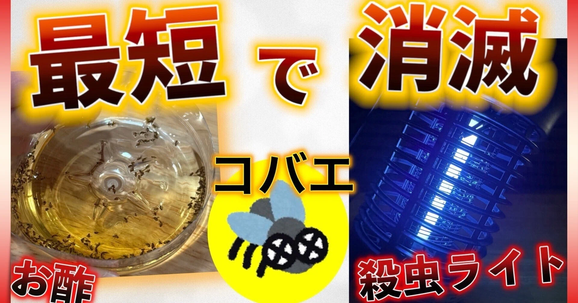 コバエ 全滅 方法