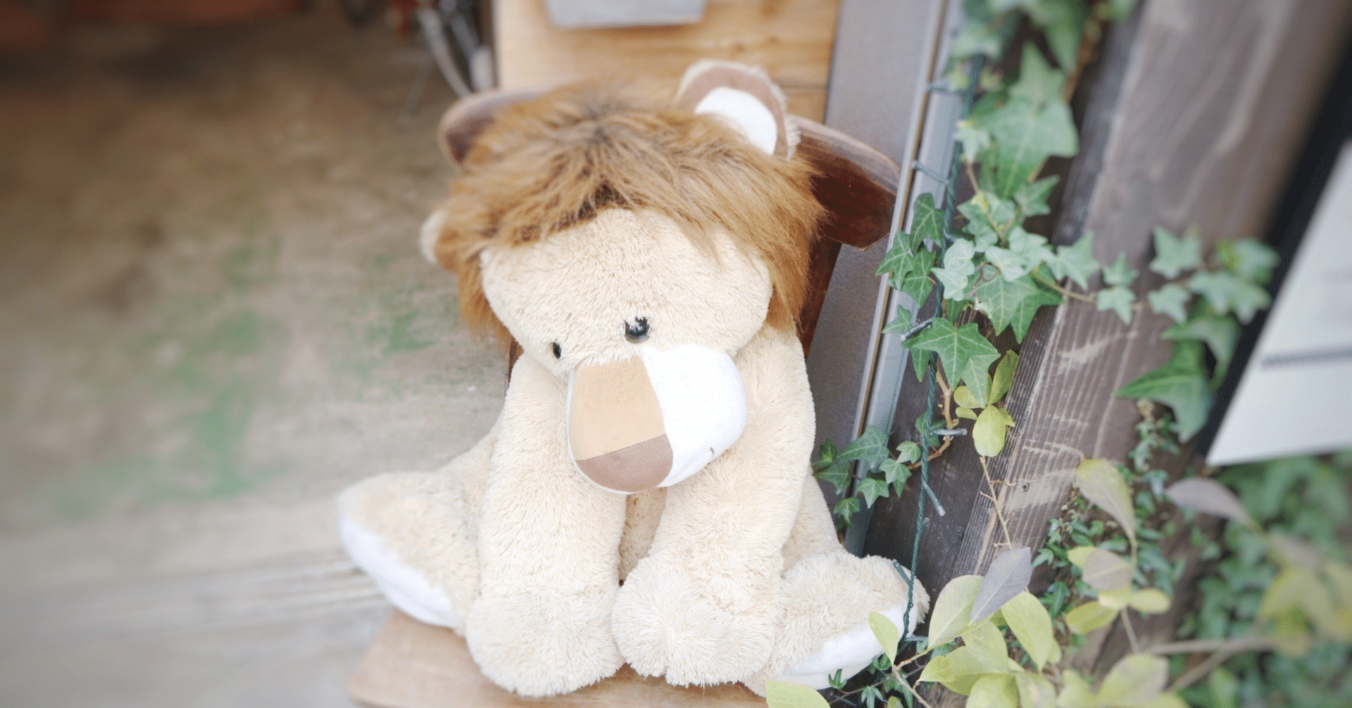 Radical Optimism／Dua Lipa｜ゆぼ