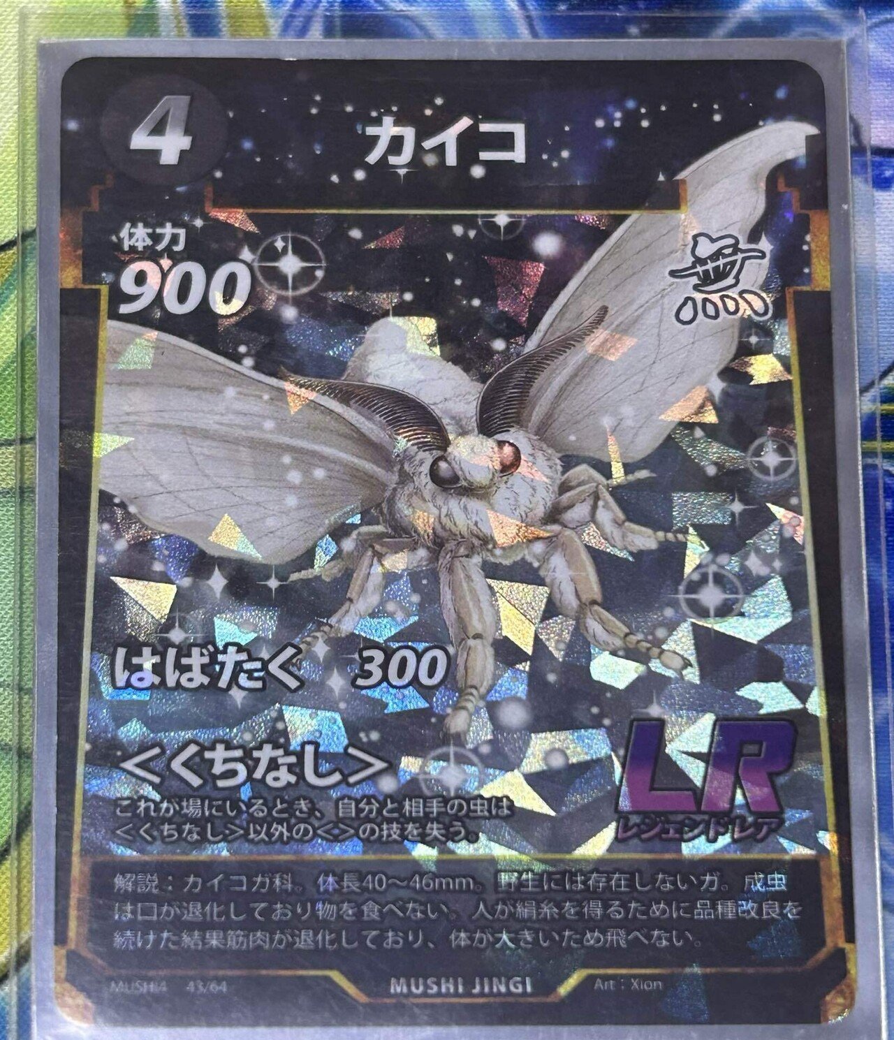 第四弾最初の水生昆虫について考えよう｜ごうにんべべむし