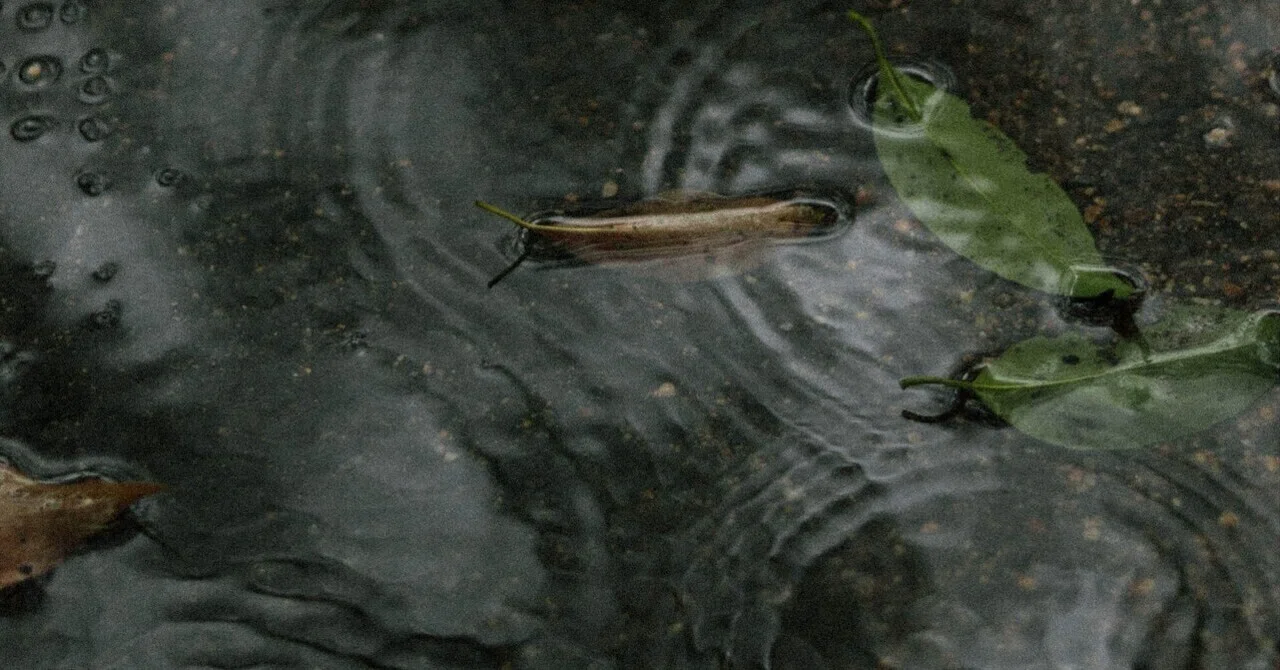 雨の日。｜翠