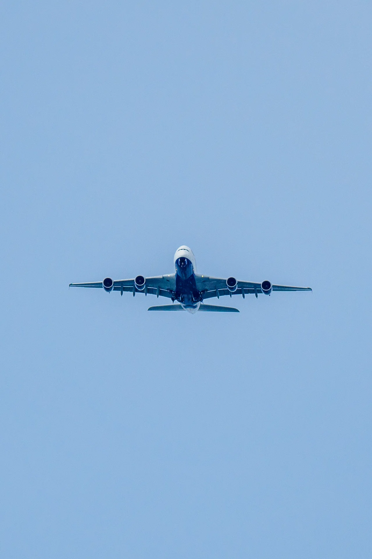 オリンパス M.ZUIKO DIGITAL ED 12-100mm F4.0 IS PRO レビュー