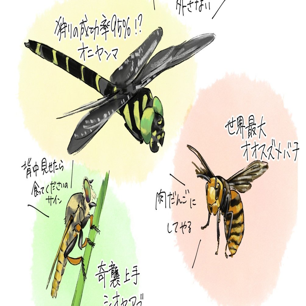狩り上手な虫たち｜くますけ｜自然ガイド・クリエイター
