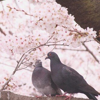 トップに移動