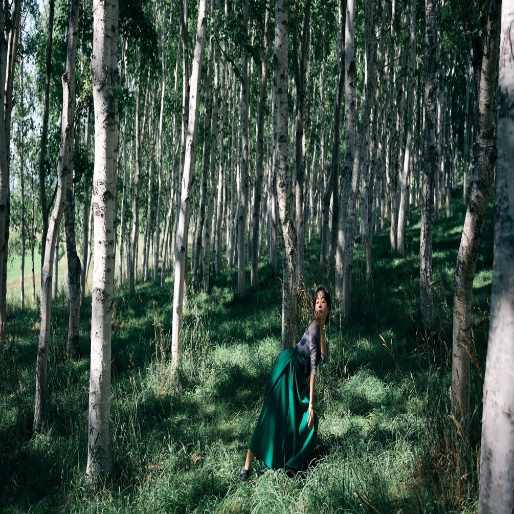 【作例あり】Nikon Zf＋Z40mm＋おまけ 作撮】Nikon ZfとZ40mm F2【作例多数】｜たねだもとき