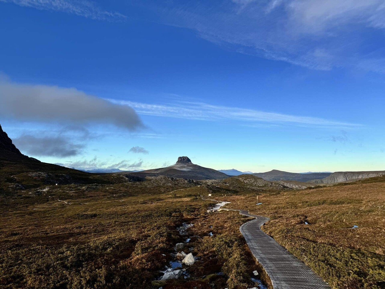 オールドマウンテン　ヒジラク　ボタナイズ オールドマウンテン ヒジラク