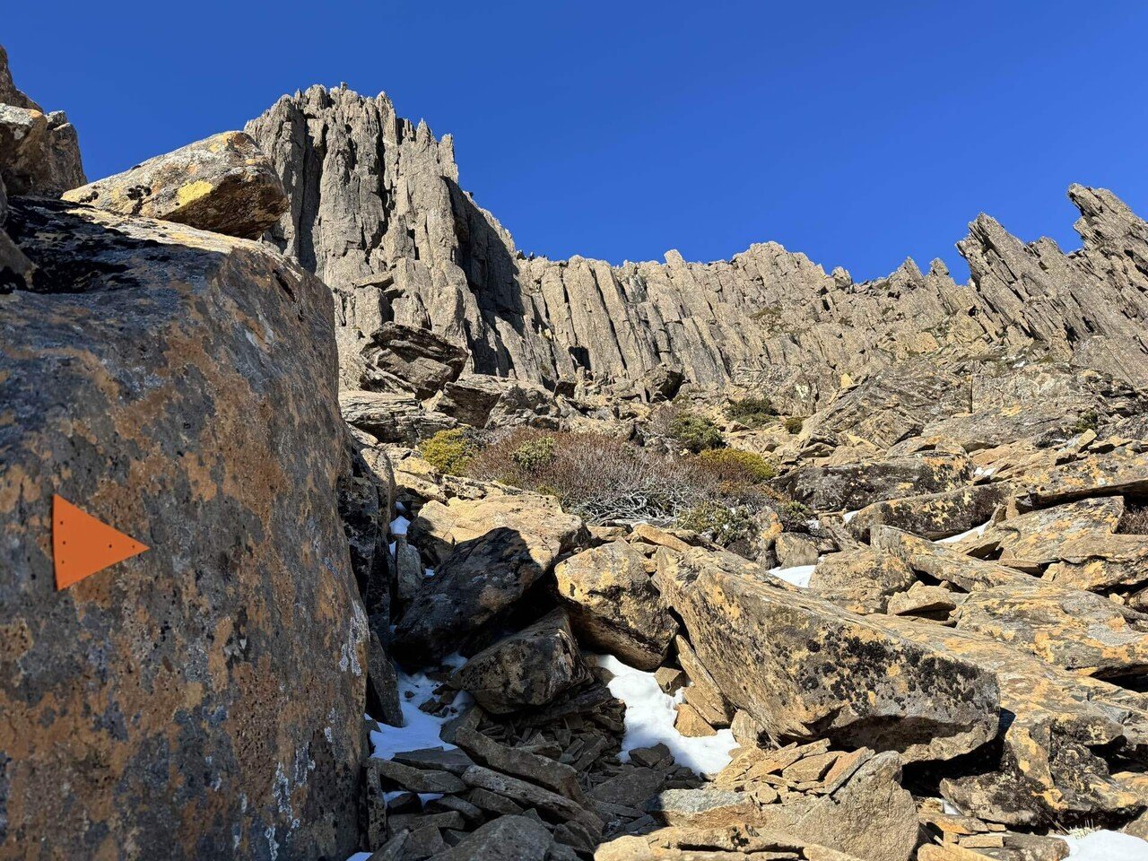 海外登山#13 「クレイドル・マウンテンの裏ボス」 Barn Bluffの行き方