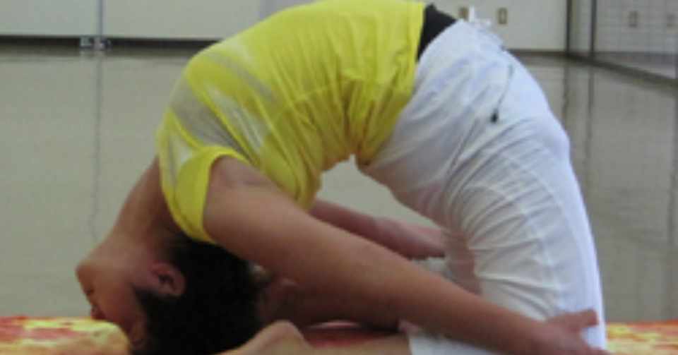 ヨガの柔軟性 らりちこ Lalitambika Chizuko Sivananda Yoga Teacher Note