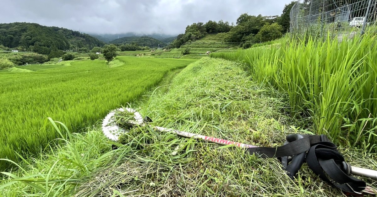 土地・田んぼ・土手等 草刈りします！ 土地・田んぼ・土手等 草刈りします！