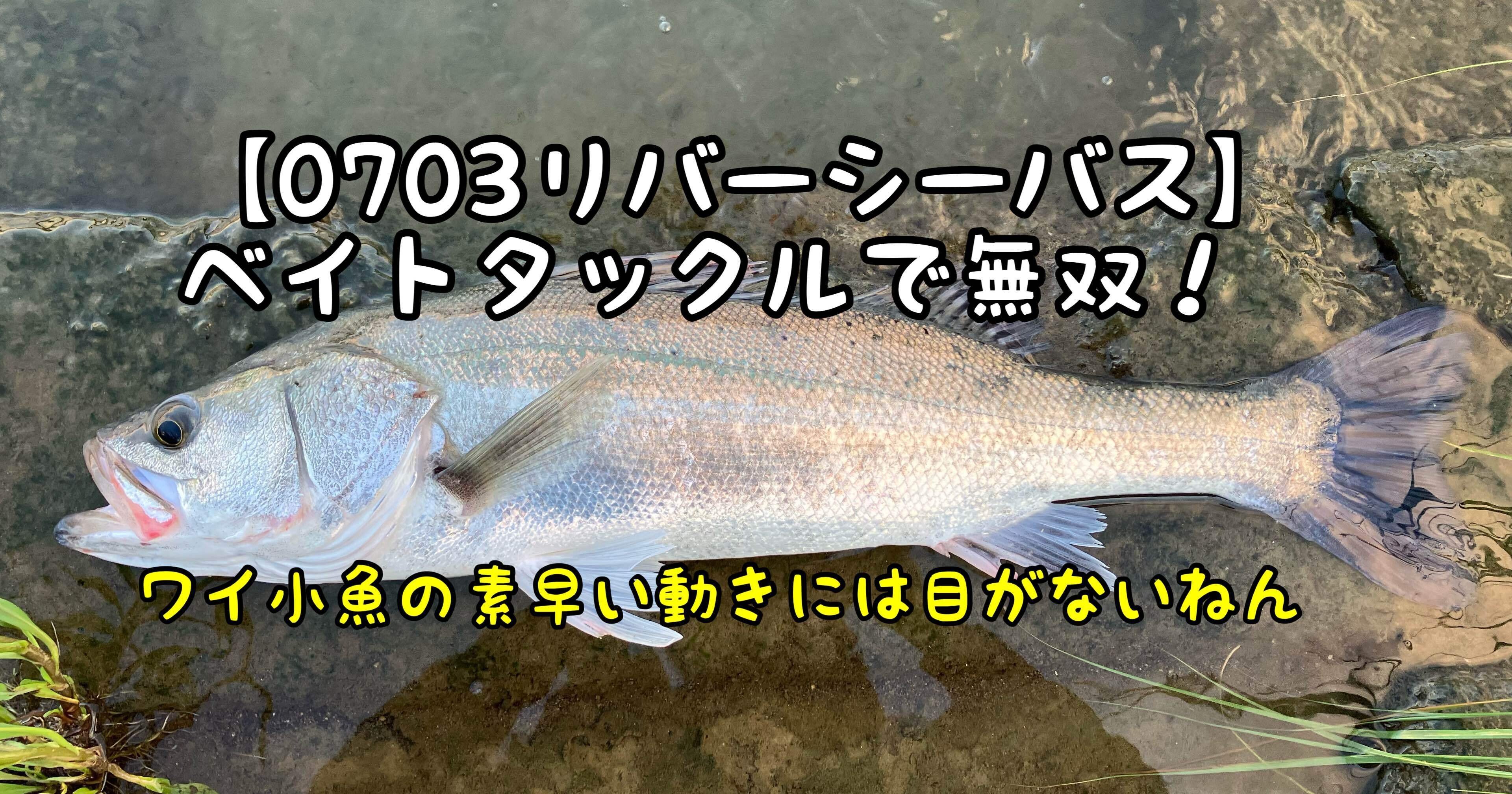 1032645213c9ef5bc5d442ccc74813