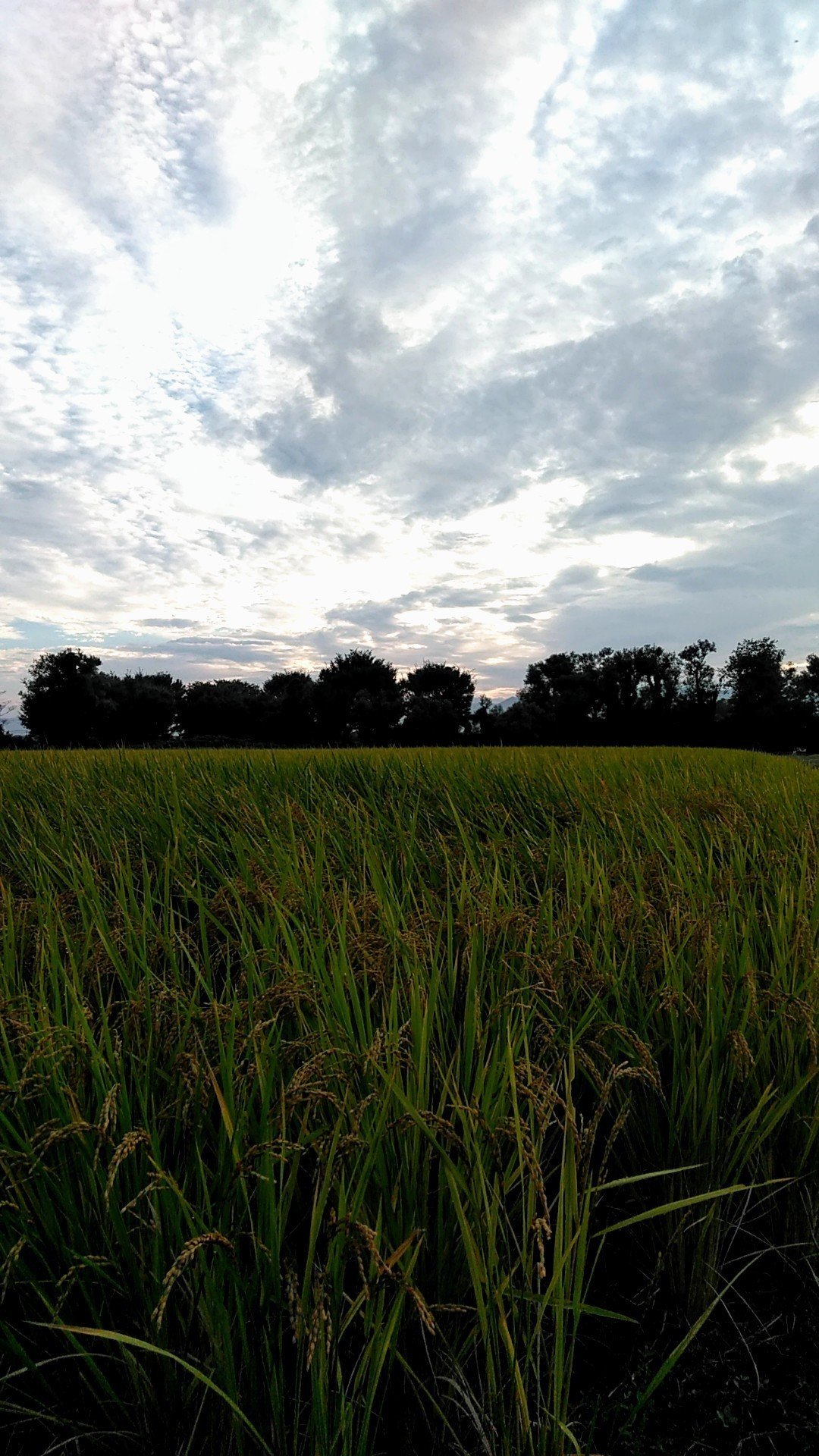 極めて前向きな話 Kousukekitamura Note