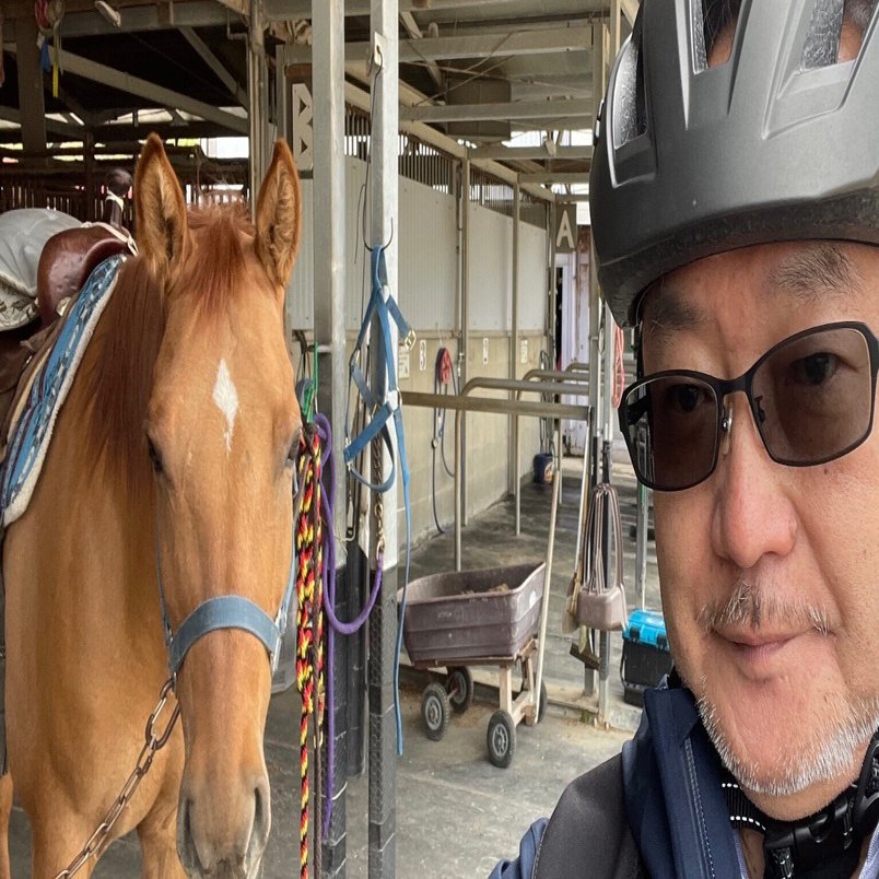 古美術　骨董品　刀装具 跳馬 野馬図目貫 無銘 古美術 骨董品 刀装具 跳馬 野馬図目貫 無銘 秀逸 刀装具 跳馬 野馬