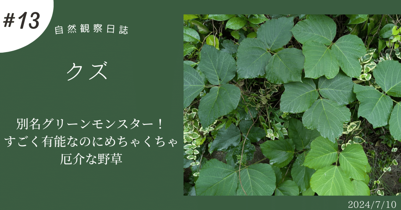 a3c2d7355bb6eae8cf5091d98e3691