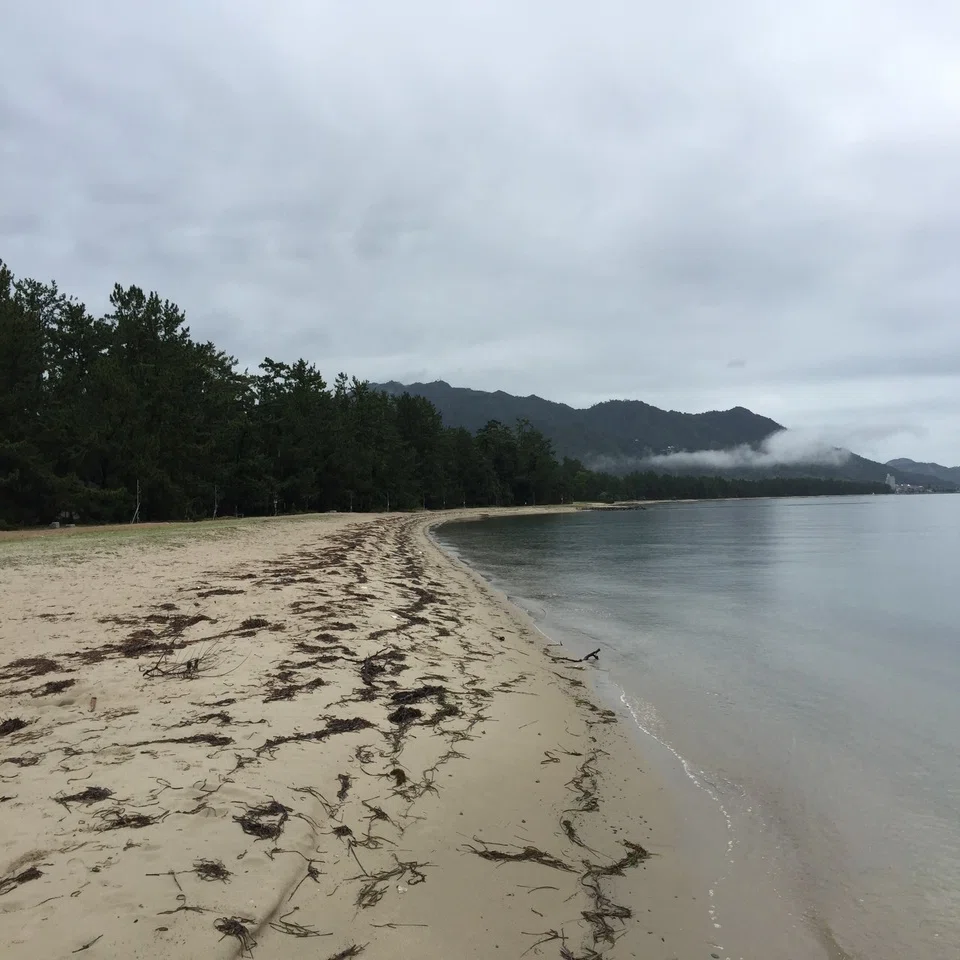 輪行旅19年7月 山陰 4日目 天橋立 豊岡市 鳥取砂丘 鳥取市 Takky1124 Note