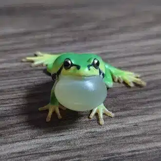 ミサ