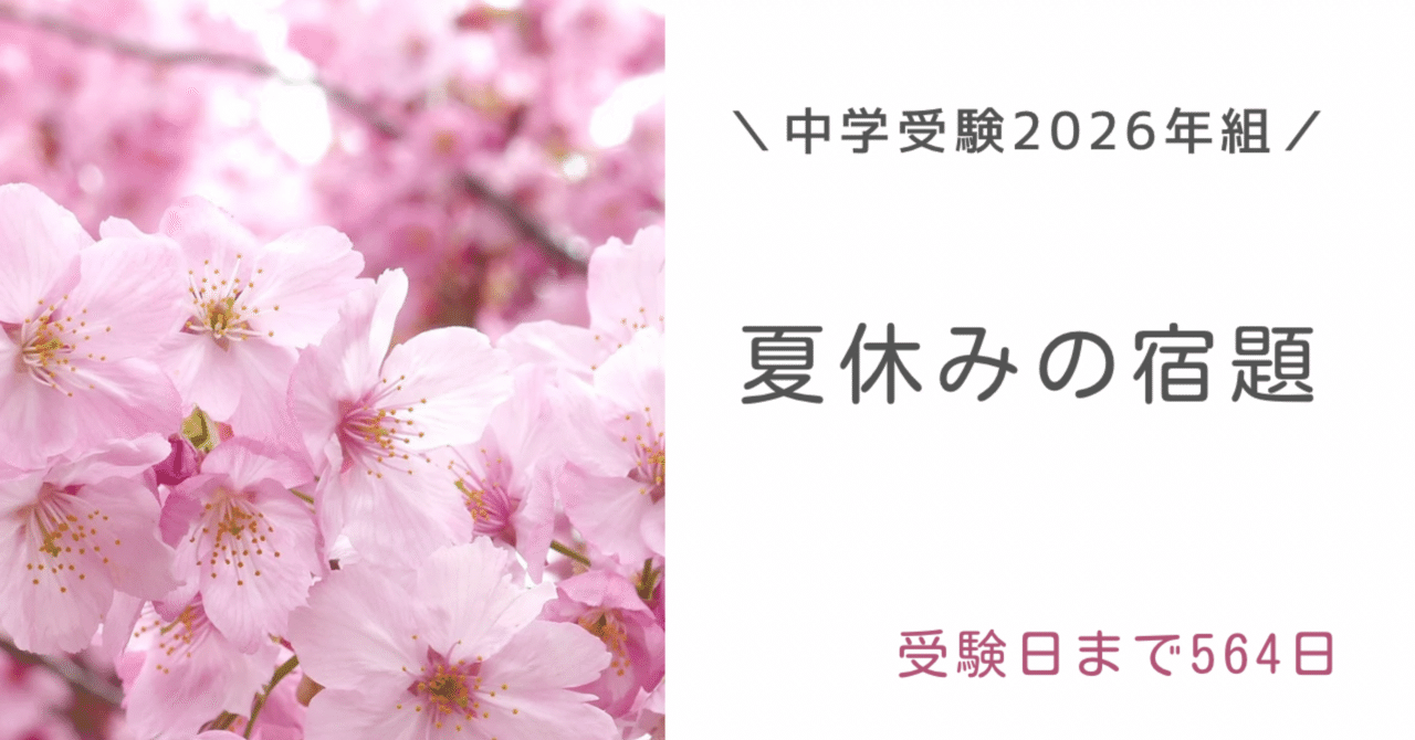 小説セット　中学受験　読書感想文 読書感想文 本 （中学生が読書感想文書くだけじゃもったいない