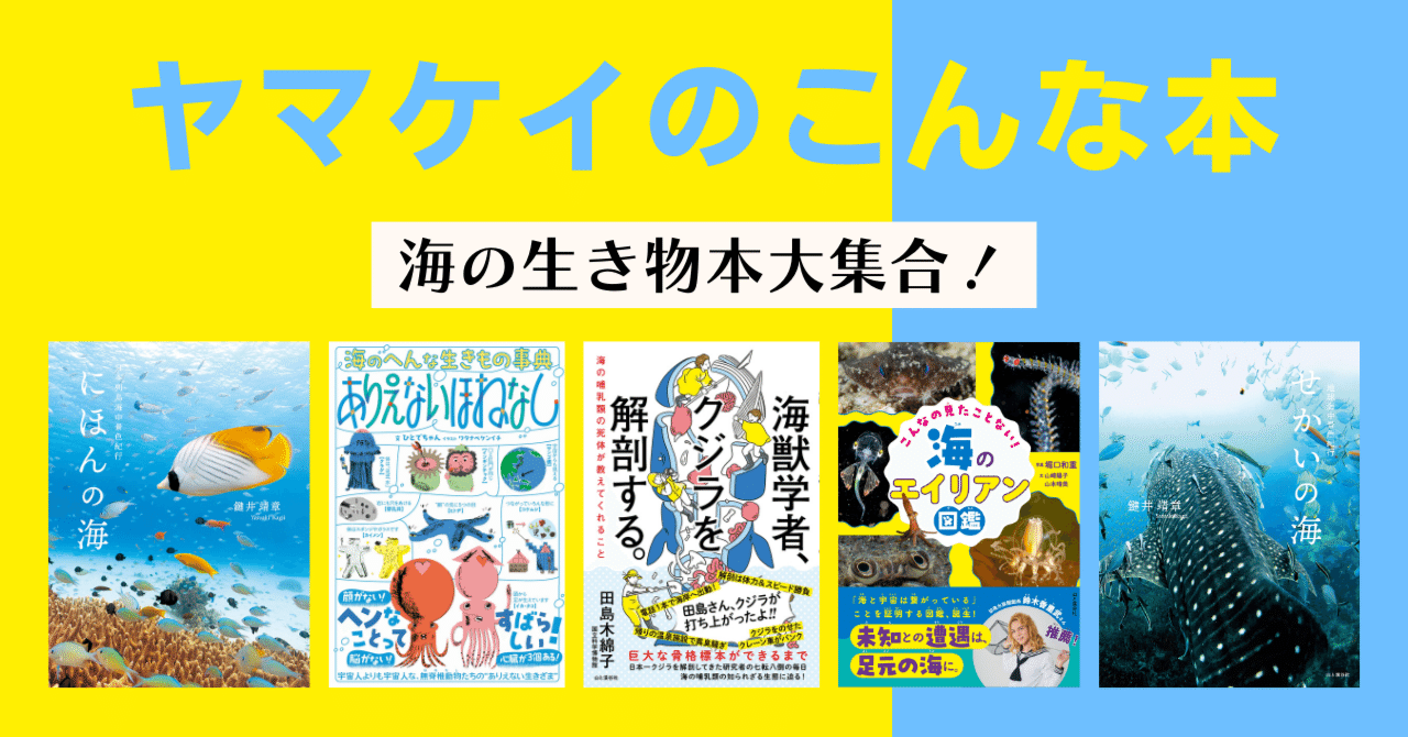夏だ！海だ！海の生き物たちを知ろう！【ヤマケイのこんな本