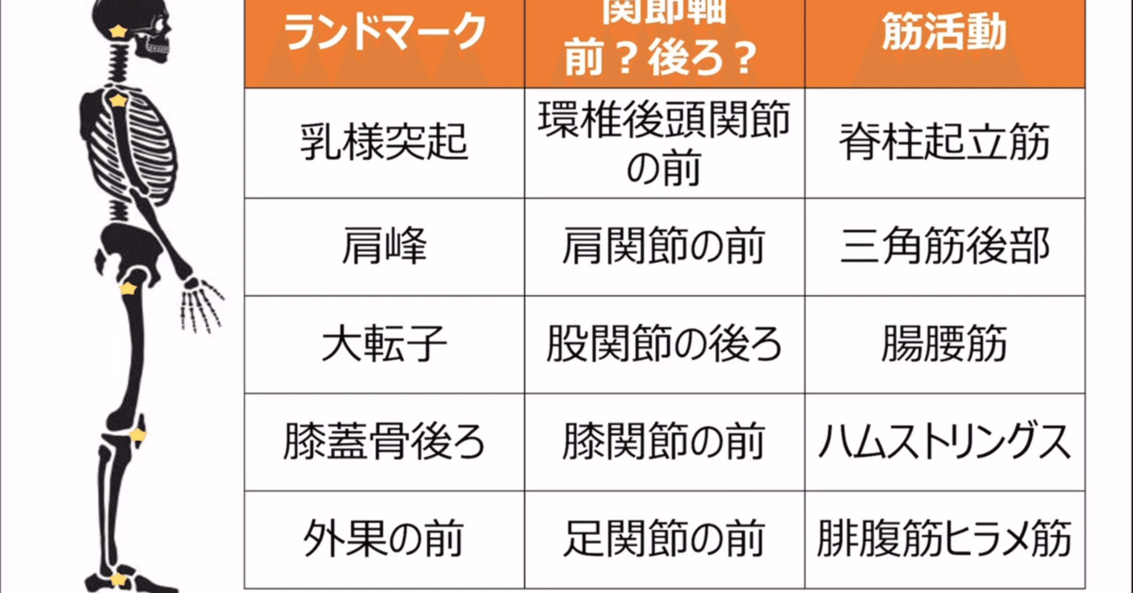 運動学 立位姿勢｜ネクストリハアカデミー