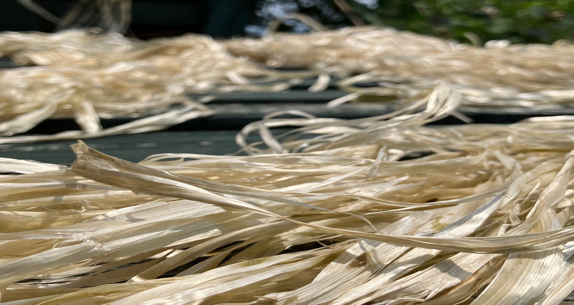 Site image of the bookmark