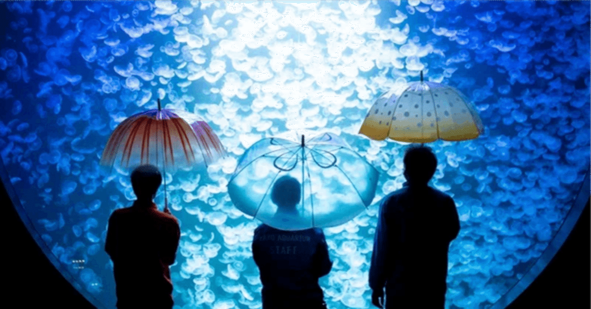 雨空を泳ぐクラゲの傘」が、可愛い。｜まつゆう* / 松丸祐子