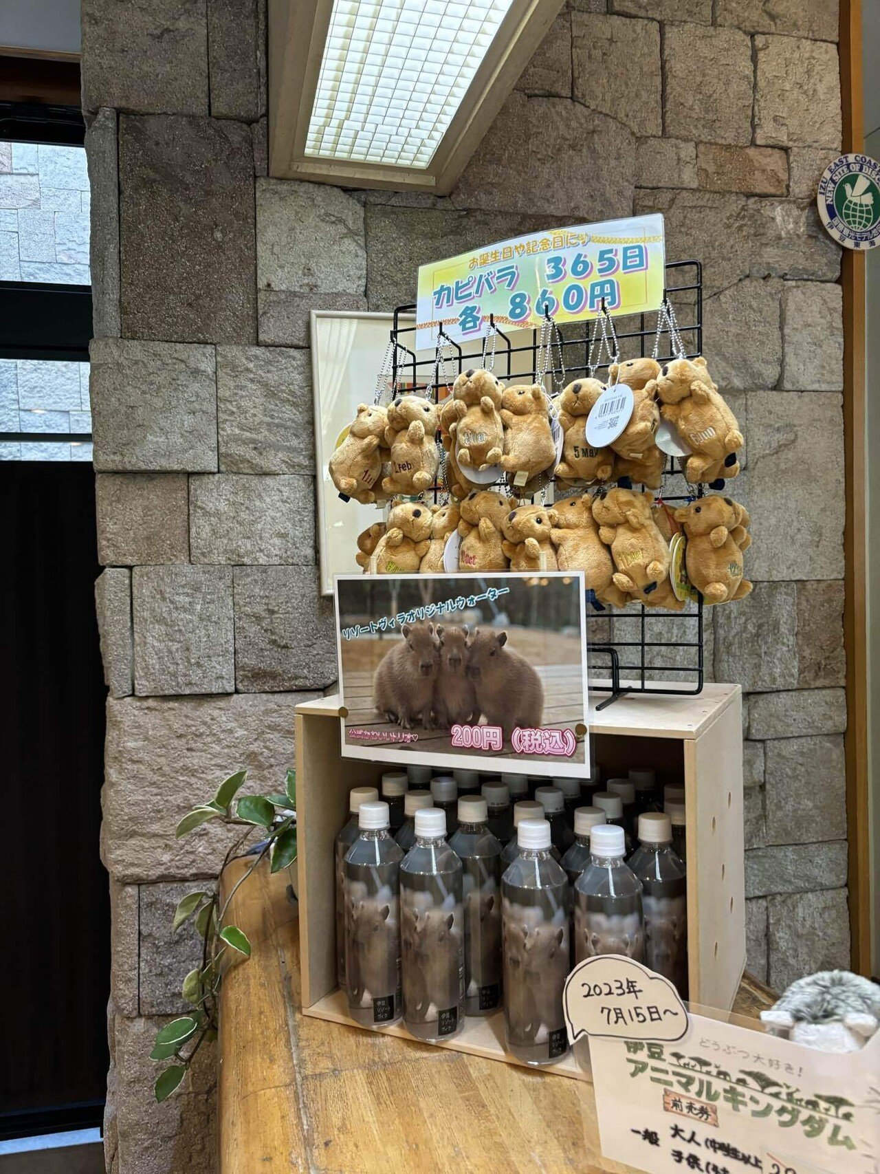 カピバラ】アニマルヴィラに泊まりました【ハーレム】｜かおりんご