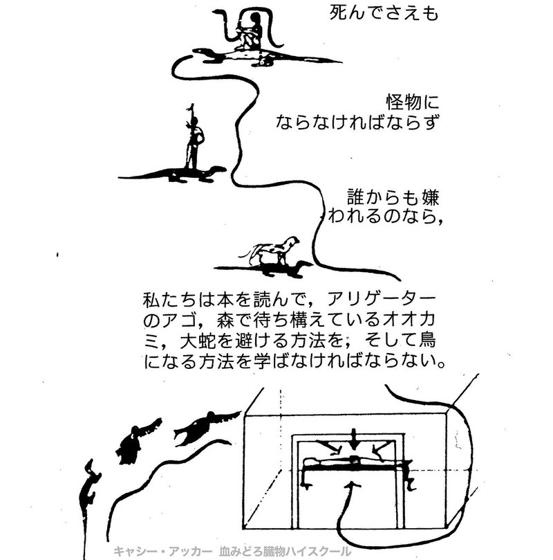 画像15