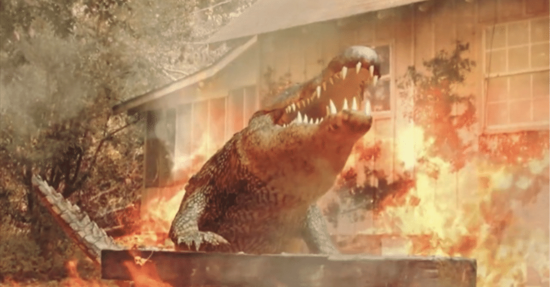 【秘蔵】ワニ b1ed0644ca2ce6dc9760d45c285e9d